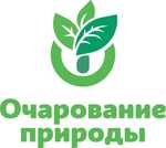 Очарование природы Очарование природы