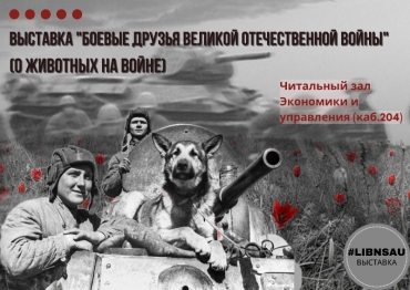 Выставка