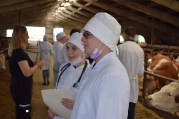 Студенты Новосибирского ГАУ стали дипломантами I степени конкурса «ZooVET»