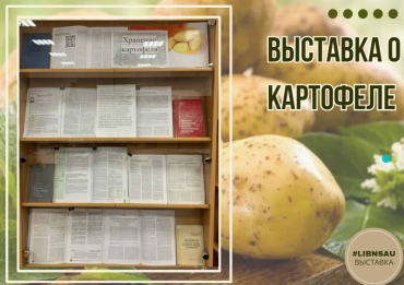 Выставка о картофеле