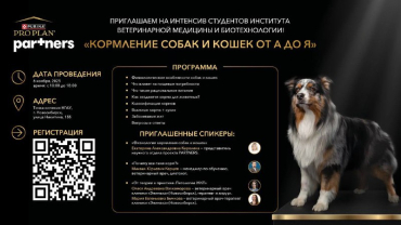 ��� ������� ��������� �� ���������: ����� �������� ��� ������� ��������� �Partners�!