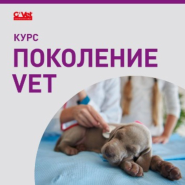 Набор в «Поколение VET»!