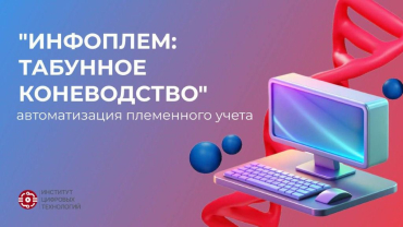 В Якутии запустили цифровой учёт лошадей