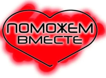 Благотворительный сбор корма для приютов животных