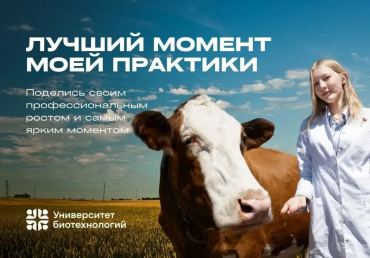 Моя лучшая практика