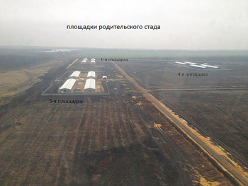 Тульской области продолжается строительство крупного птицеводческого предприятия по производству мяса цыплят – бройлеров