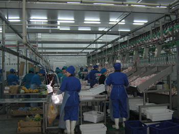 Производство мяса птицы в Алтайском крае увеличилось на 4%