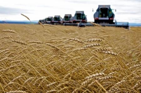 Дни урожая Новосибирской области