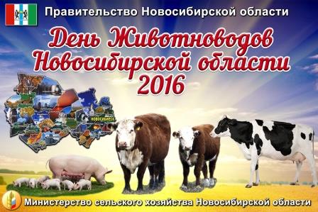 День животноводов НСО – 2016