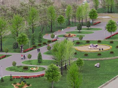 Современные проблемы озеленения городской среды