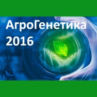 Конкурс проектов