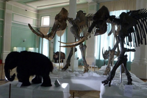 Экскурсия в краеведческий музей
