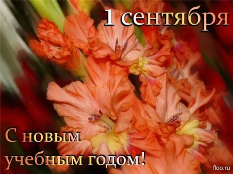 С Днём знаний!