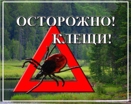 Опереди клеща!