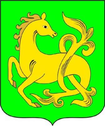 День Венгеровского района в НГАУ