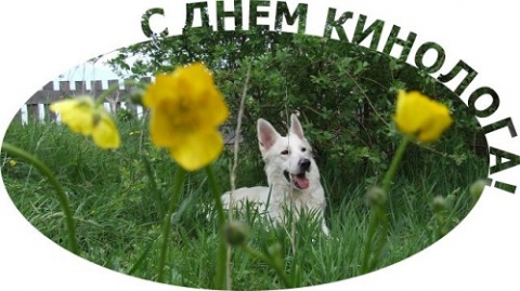 «110 лет служебному собаководству России»