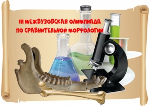 Отчет о III Межвузовской олимпиаде