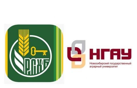 Вручение именных свидетельств
