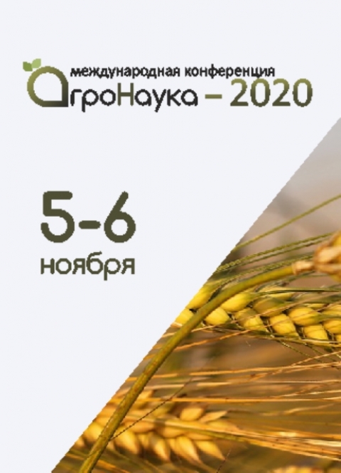 ������������� ����������� ���������-2020