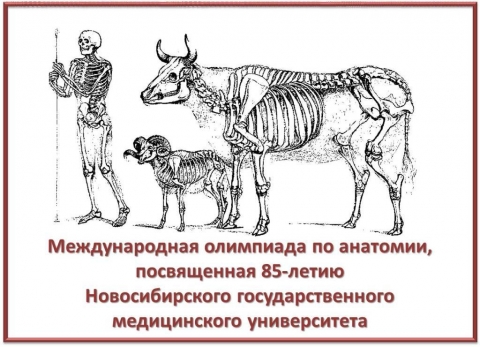 Международная олимпиада по анатомии