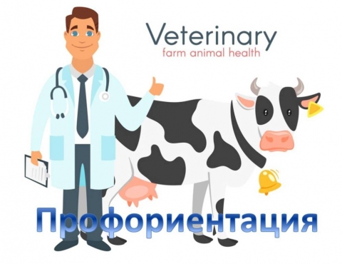 Профориентация