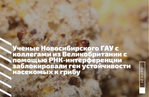 ������ �������������� ��� � ��������� �� �������������� � ������� ���-������������� ������������� ��� ������������ ��������� � �����