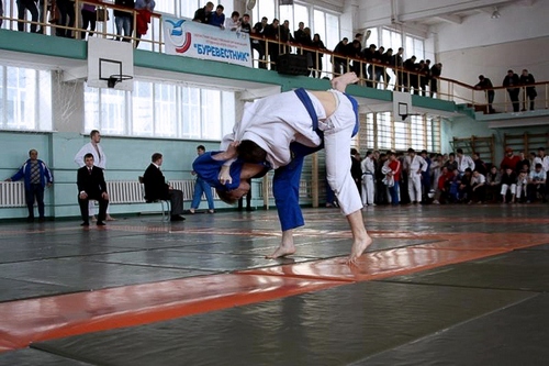 Наши новые чемпионы
