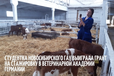 Студентка Новосибирского ГАУ пройдёт стажировку в Германии по программе Ветеринарной Академии HCS