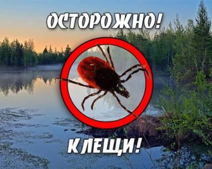 Ежегодная профилактика укуса клеща