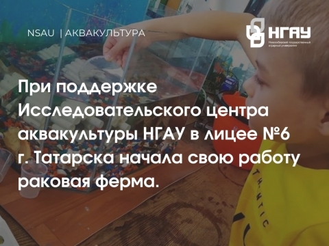 Исследовательский Центр Аквакультуры Новосибирского ГАУ подарил школьникам раковую ферму