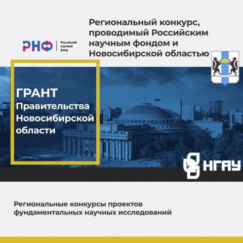 Региональный конкурс, проводимый Российским научным фондом и Новосибирской областью