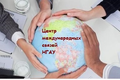 Начинается набор на курсы иностранных языков