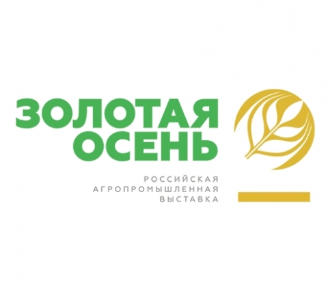 Золотая осень 2021