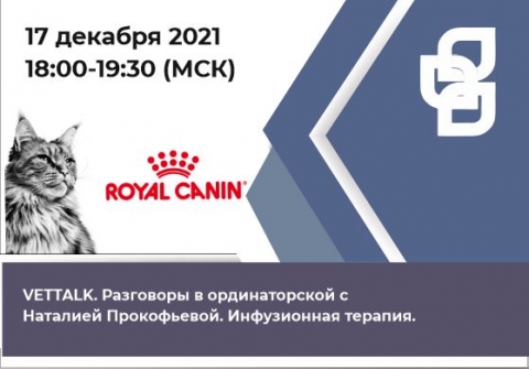 VETTALK. Разговоры в ординаторской с Наталией Прокофьевой. Инфузионная терапия.