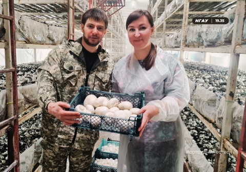 Группа ученых Новосибирского ГАУ посетила компанию ООО «Сибирская Грибная Поляна» с целью возможного дальнейшего сотрудничества