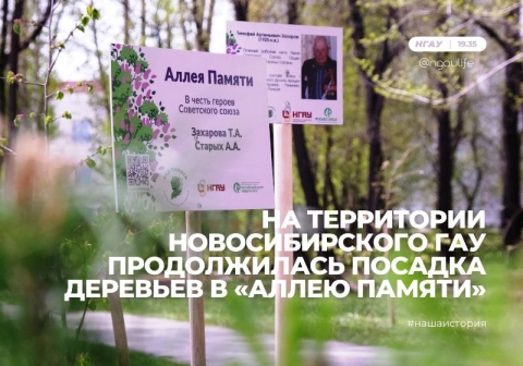 На территории Новосибирского ГАУ продолжилась посадка деревьев в «Аллею Памяти»