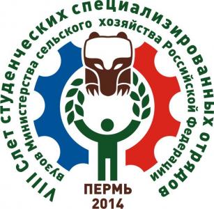 Итоги VIII Всероссийского слёта студотрядов
