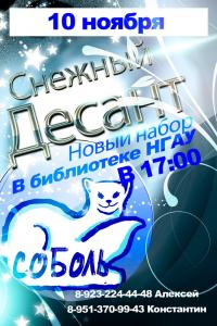 Снежный десант